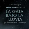 La Gata Bajo La Lluvia (feat. Amargue Sessions) - Single album lyrics, reviews, download