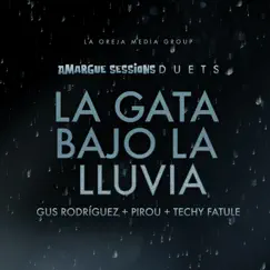 La Gata Bajo La Lluvia (feat. Amargue Sessions) Song Lyrics