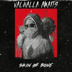 Skin & Bone Song Lyrics