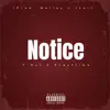 Notice (feat. End0ftime) - Single album lyrics, reviews, download