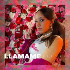 LLAMAME Song Lyrics