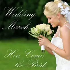 Wedding March - Here Comes the Bride - Piano by The O'Neill Brothers Group album reviews, ratings, credits