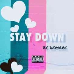 STAY DOWN (feat. Producer takezo) Song Lyrics