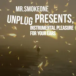 Flip Side - Single by Mr.SmokeOne album reviews, ratings, credits