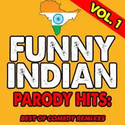 Senorita (Funny Indian Remix) Song Lyrics