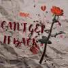 Can't Get It Back - Single album lyrics, reviews, download