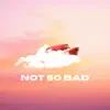 Not so Bad - Single album lyrics, reviews, download