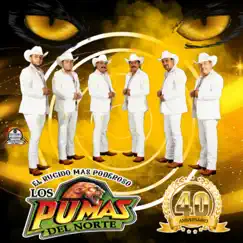 40 Aniversario by Los Pumas del Norte album reviews, ratings, credits