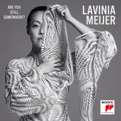 Are You Still Somewhere? by Lavinia Meijer album reviews, ratings, credits