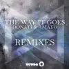 The Way It Goes (Remixes) - Single album lyrics, reviews, download