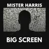 Big Screen - Single album lyrics, reviews, download