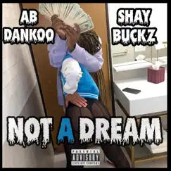 Not a Dream (feat. AB Dankoo) - Single by Shay Buckz album reviews, ratings, credits