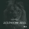 Agunechemba (feat. Jay Okwulehie & Gift Simon) - Single album lyrics, reviews, download