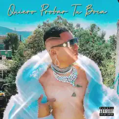 Quiero Probar Tu Boca - Single by Dayron Dikanntti album reviews, ratings, credits
