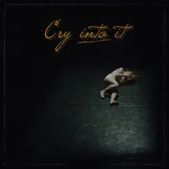 Cry into it (Instrumental Version) - Single by Zodiac album reviews, ratings, credits