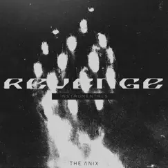 Revenge (Instrumentals) by The Anix album reviews, ratings, credits
