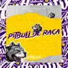 Pitbull de Raça (feat. Mc Rd) - Single album lyrics, reviews, download