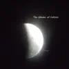 The Whales of Callisto - Single album lyrics, reviews, download