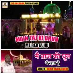 Main Taj Ki Dhun Me Rehta Hu Song Lyrics