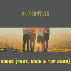 Mpintji (feat. Niice & Top dawg) - Single by Ngobz album reviews, ratings, credits