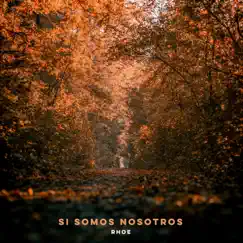 Si somos nosotros Song Lyrics