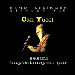 Değişik - Yapraktı Song Lyrics