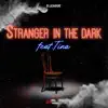 Stranger in the Dark (feat. Tina) - Single album lyrics, reviews, download