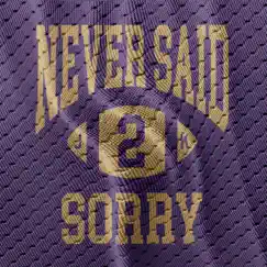 Never Said Sorry - Single by Josh Kerr album reviews, ratings, credits