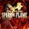 Spark Up the Flame - Single album lyrics, reviews, download
