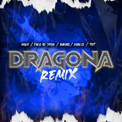 Dragona Rmix (feat. Barbel, Fulo El Yeyo, Tot & Kabliz) Song Lyrics