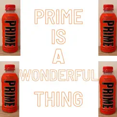 Prime Is a Wonderful Thing - Single by Wild Man album reviews, ratings, credits