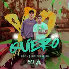 Yo Quiero - Single by Luisitoo & Miguel Cornejo album reviews, ratings, credits
