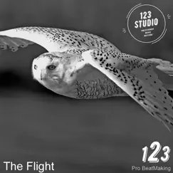 The Flight - Single by 123studio album reviews, ratings, credits