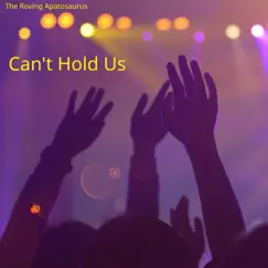 Can't Hold Us Song Lyrics