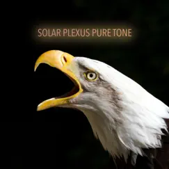 Solar Plexus Pure Tone 364 Hz Song Lyrics