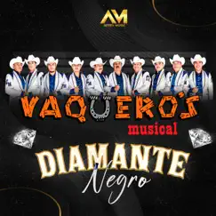 Diamante Negro - Single by Vaquero's Musical album reviews, ratings, credits