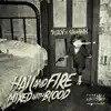 Hail & Fire Mixed With Blood album lyrics, reviews, download