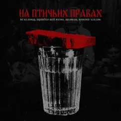 На птичьих правах - Single by MC Кальмар, Tragediya Vsey Zhyzni, Овсянкин & Мутант Ъхвлам album reviews, ratings, credits