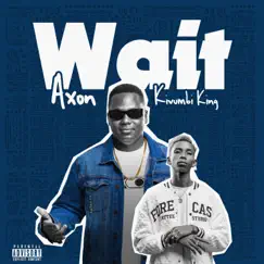 Wait - Single by Kivumbi King & Axon album reviews, ratings, credits