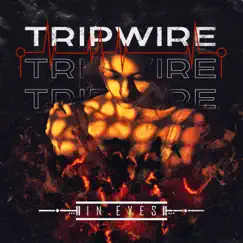 Tripwire Song Lyrics