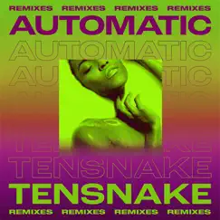 Automatic (feat. Fiora) [Gerd Janson Remix] Song Lyrics