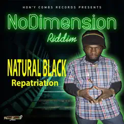 Repatriation - Single by Natural Black album reviews, ratings, credits