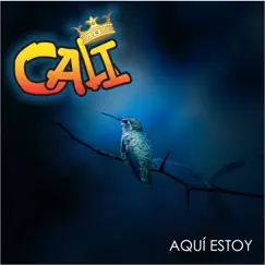 Aquí Estoy - Single by Grupo Cali album reviews, ratings, credits