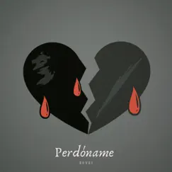 PERDÓNAME Song Lyrics