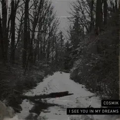 I See You In My Dreams Song Lyrics