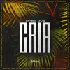 Tribo dos Cria (feat. Mousik) - Single album lyrics, reviews, download