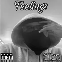 Feelings (feat. Cameronx2) - Single by Lil Tweeze album reviews, ratings, credits