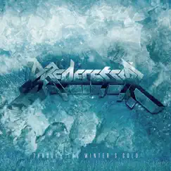 Through the Winter's Cold (Instrumental) [Instrumental] by Predecessor album reviews, ratings, credits