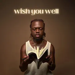 Wish you well by T Alan album reviews, ratings, credits