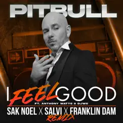 I Feel Good (feat. Anthony Watts & DJWS) [Sak Noel x Salvi x Franklin Dam Remix] - Single by Pitbull album reviews, ratings, credits